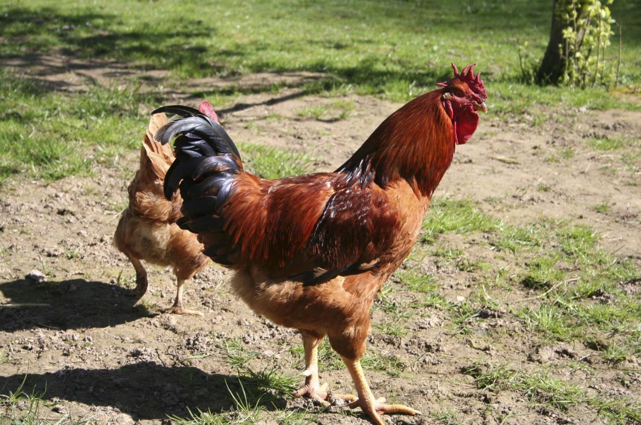 Ty Daou Gwez Panzió Irodouer Kültér fotó